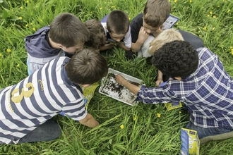 Children doing invertebrate sampling
