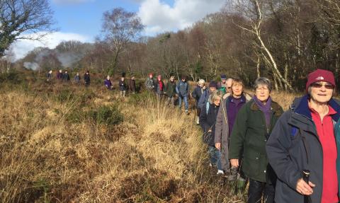 Guided walk through Bovey Heathfield 