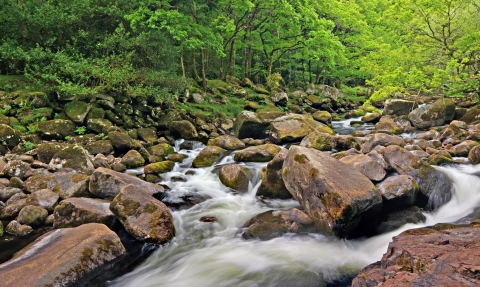 River Dart following through the Dart Valley