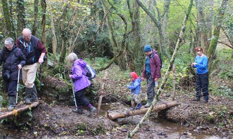 Barnstaple DWT volunteer group at Hakeford Woods