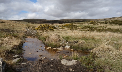 Stream at Postbridge on Dartmoor