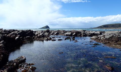 Wembury Rock on Wembury beach