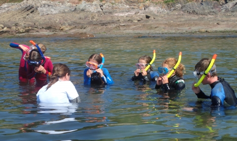 Snorkel safari with children at Wembury