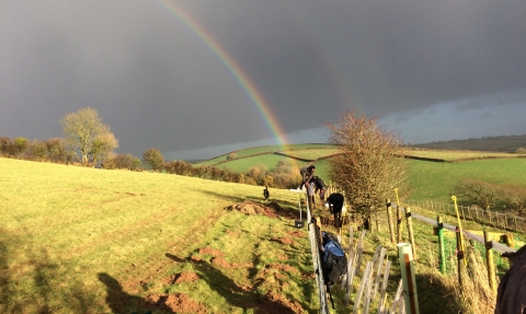 Planting hedgerows for dormice in the Avon Valley