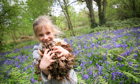 Happy child gathering leaves in a bluebell wood