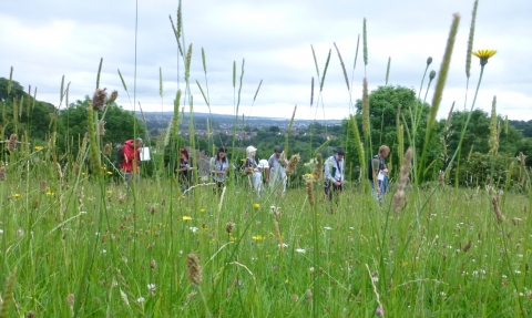 Whitycombe botany workshop with Exeter local group