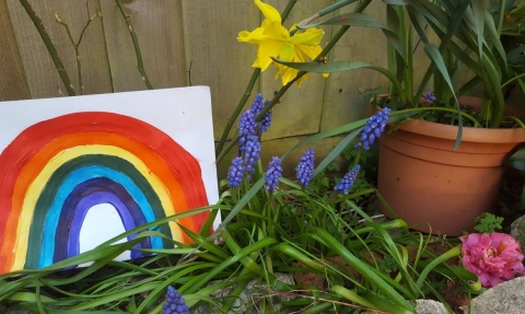 Picture of a rainbow next to grape hyacynth