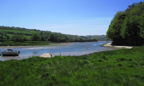 Avon estuary