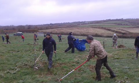 grassland restoration