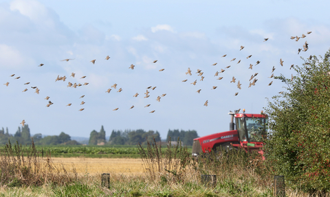 Vine House Farm field with red tractor and birds © Nicholas Watts, Vine House Farm Bird Foods