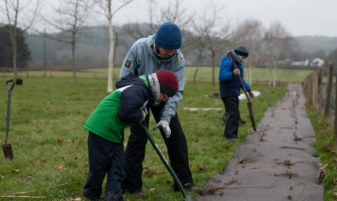 Tree planting