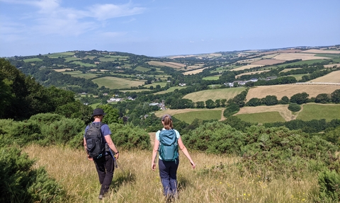 University of Exeter surveyors