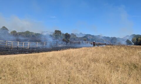 fields of burnt grassland with smoke rising, a firefighter trying to put it out