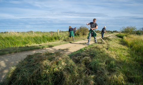 volunteer work -Matthew Roberts