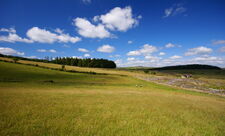 Blue skies at Bellever Moor and Meadows