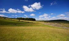 Blue skies at Bellever Moor and Meadows