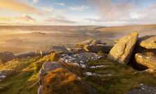 Moorland view from Littaford 