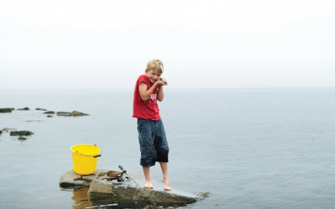 Archie stands on a rock in the sea with a bucket