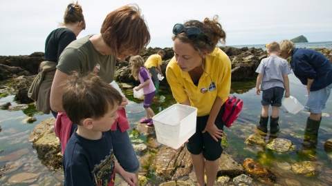 Rockpooling with Wembury Marine Centre volunteers