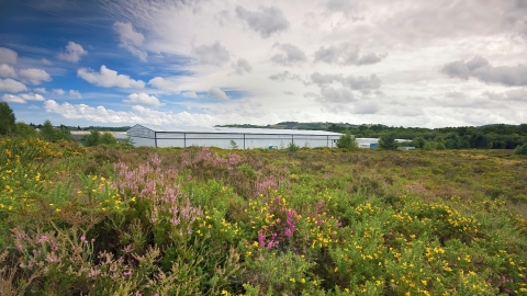 Bovey Heathfield and industrial encroachment