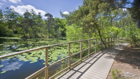 Board walk at Bystock Pools nature reserve 