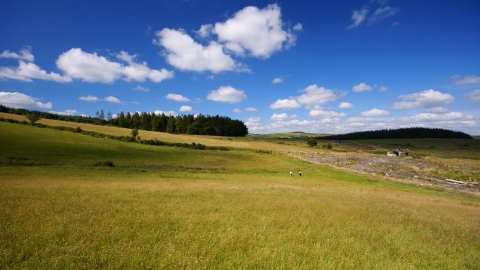 Blue skies at Bellever Moor and Meadows