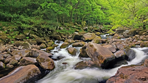 River Dart following through the Dart Valley