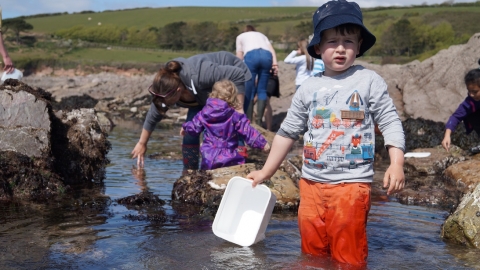 Child on a rockpool ramble at Wembury beach