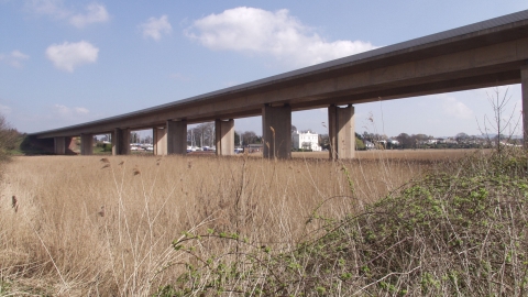 Exe Reed Beds under the bridge