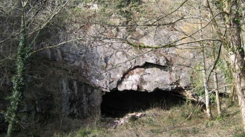 Higher Kiln Quarry