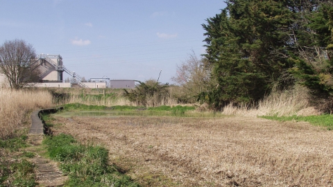 Devon Wildlife Trust's Old Sludge Beds