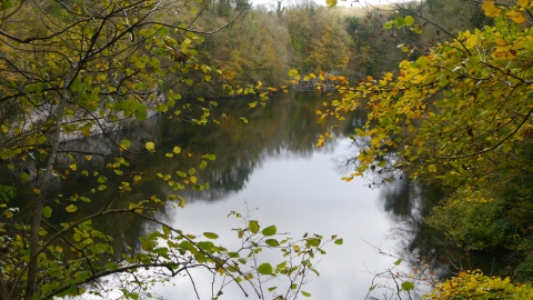 Sourton Quarry Lake in Autumn 