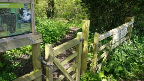 Entrance to Uppacott Wood