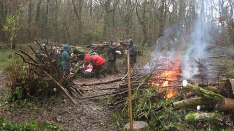 Conservation work party clearing small areas of wood
