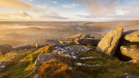 Moorland view from Littaford