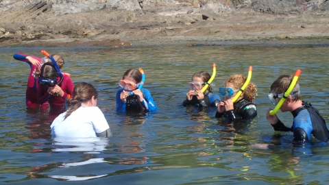 Snorkel safari with children at Wembury