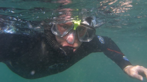 Someone snorkelling at Wembury