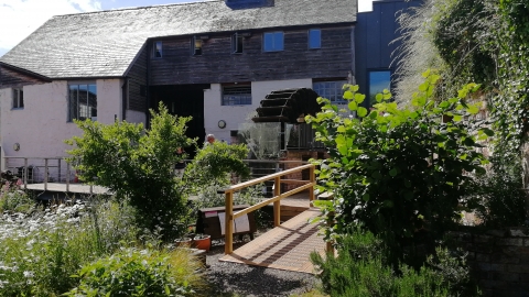 Cricklepit Mill outdoors