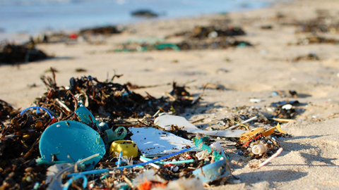 Plastic and waste on the sand