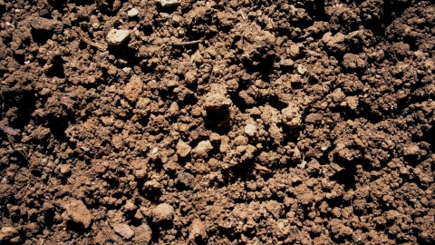 Soil