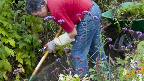 Wildlife gardening with tools and wheelbarrow