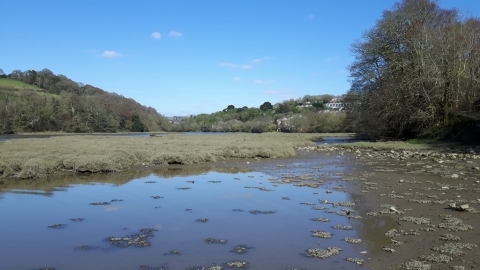 Ernesettle Creek