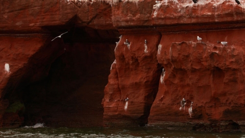 Jurassic Coast Geology