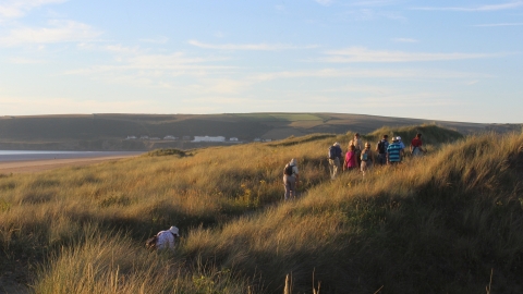 Braunton Burrows