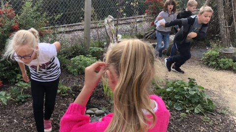 Seaton Jurassic School Children Search and Find