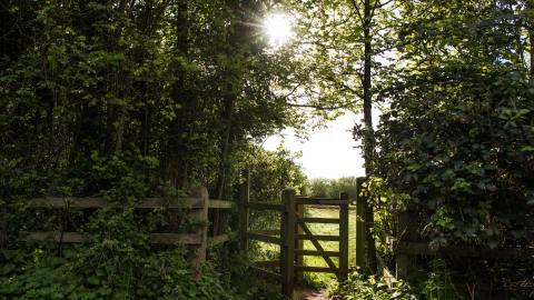 Ludwell Valley Park