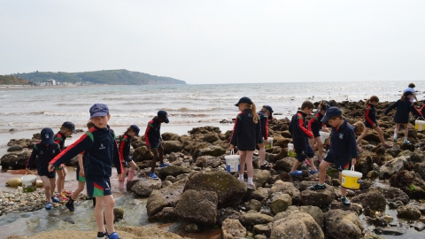 Rockpooling