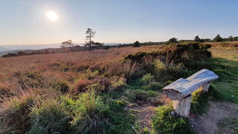 Ideford Common