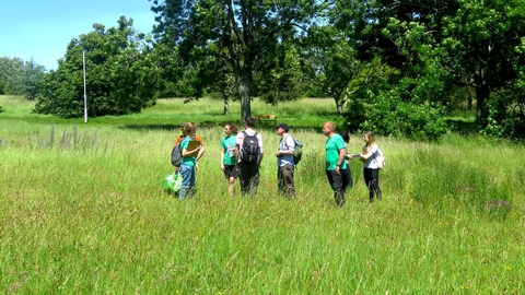 Citizen Science Survey