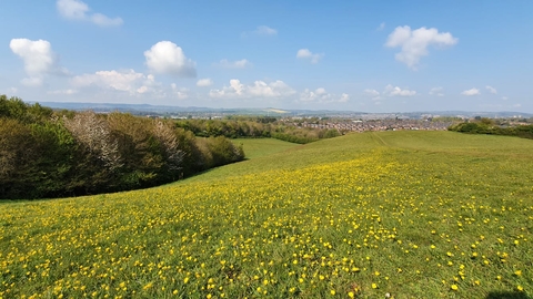 Ludwell Valley Park